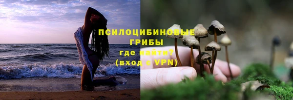ПСИЛОЦИБИНОВЫЕ ГРИБЫ Аркадак