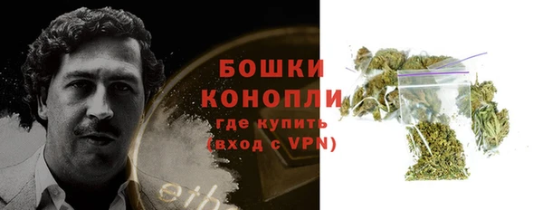 ПСИЛОЦИБИНОВЫЕ ГРИБЫ Аркадак